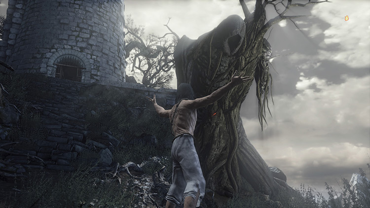 Seed of a Giant Tree in DS3