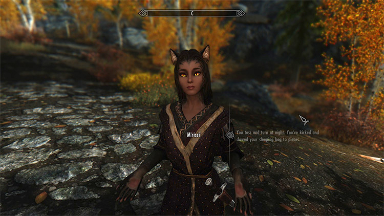 M’rissi’s Tails of Troubles mod for Skyrim