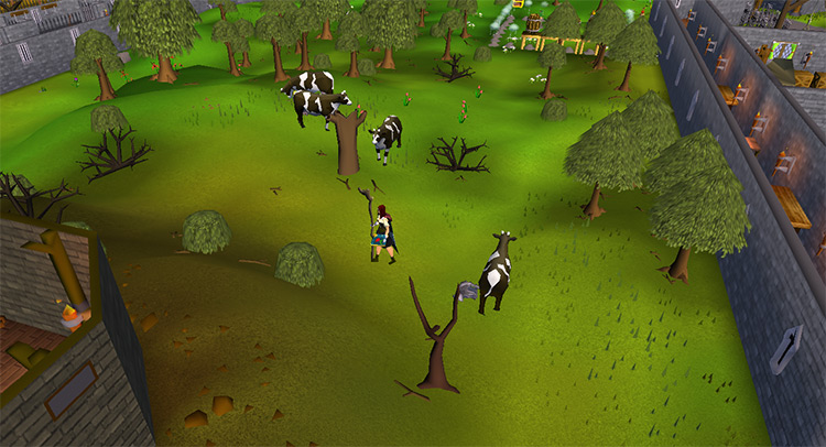 The cows north of Yanille / OSRS