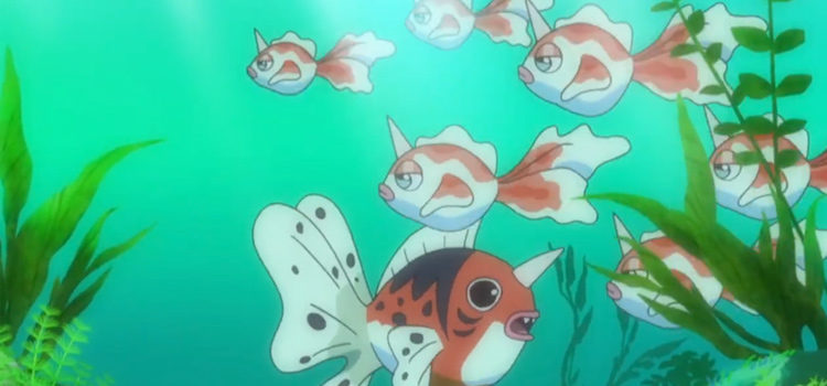 Seaking and Goldeen under the sea in the anime