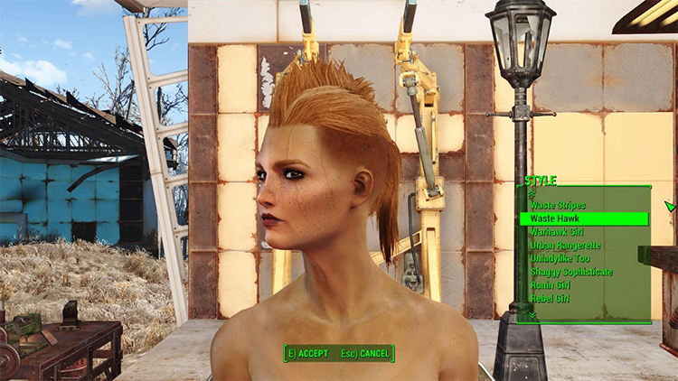 Lots More Female Hairstyles fo4