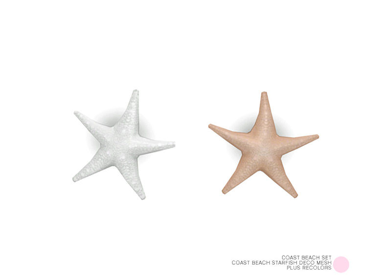 Coast Beach Starfish for Sims 4
