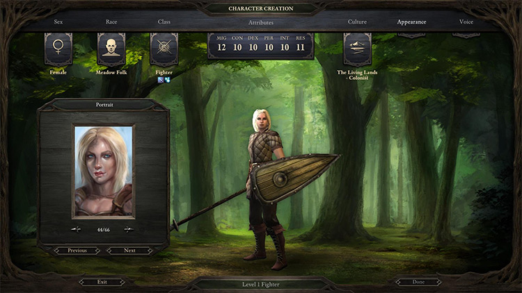 Baldur's Gate Portraits Mod for PoE1