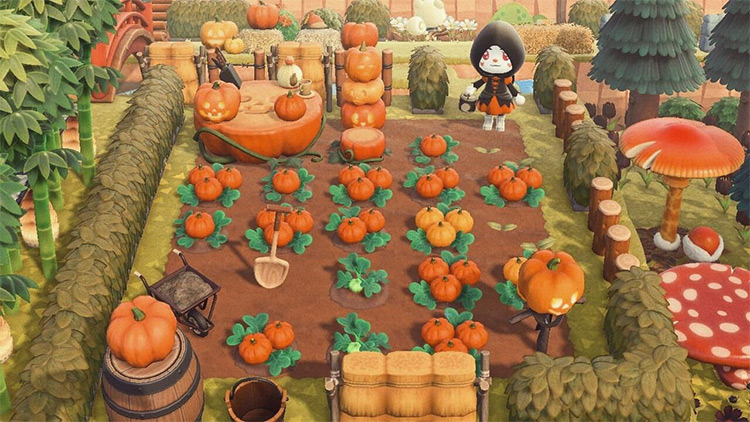 Autumn pumpkin patch idea in ACNH