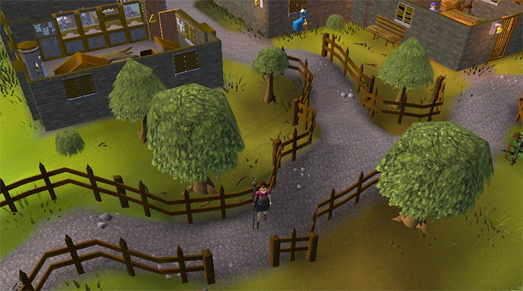 Oak trees next to the Draynor Bank / OSRS