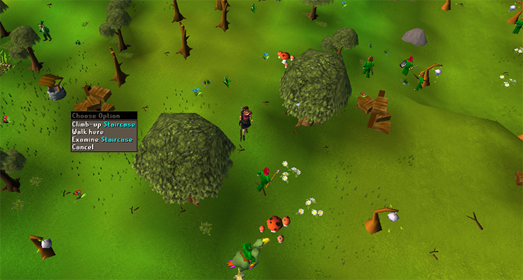 Oak Trees at the Tree Gnome Stronghold / OSRS
