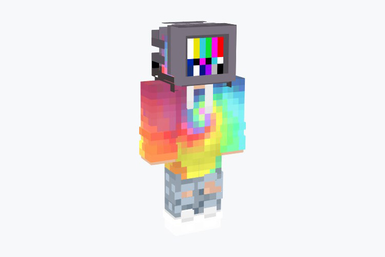 What We See On TV Minecraft Skin