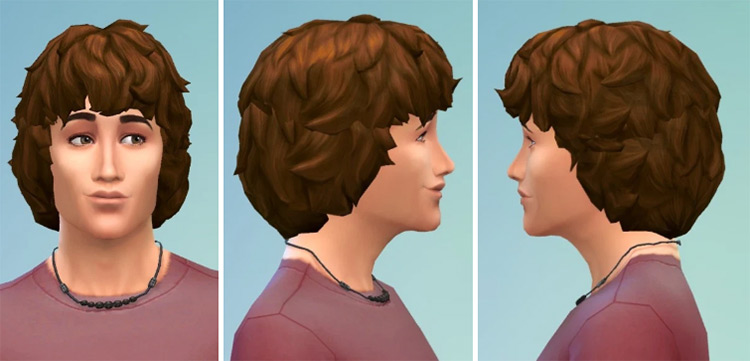 Curly 1970s Mop Hair for Men Sims 4 CC
