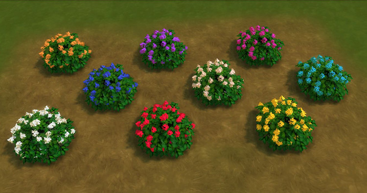 For the Outdoor Set for Sims 4