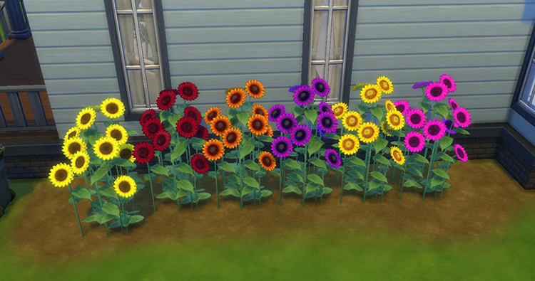 Sunflowery Shrubbery Sims 4 CC
