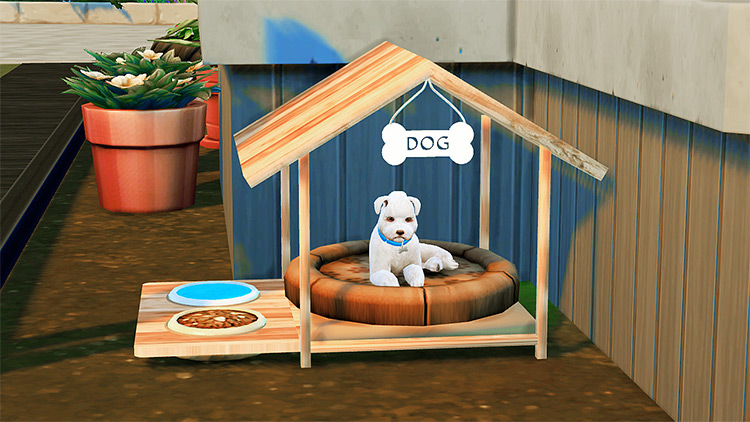 Outdoor summertime pet bed for The Sims 4