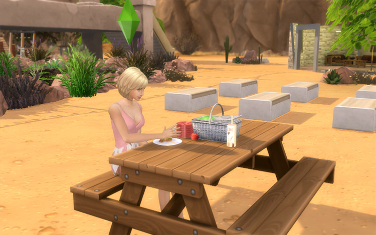 Functional Picnic Basket for Sims 4