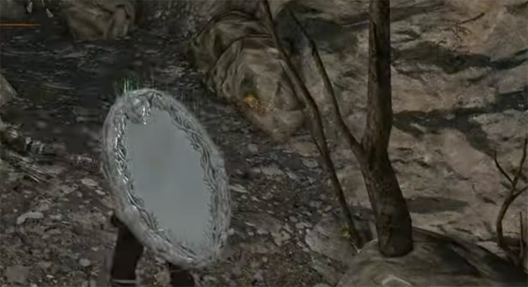 King’s Mirror Shield in Dark Souls II