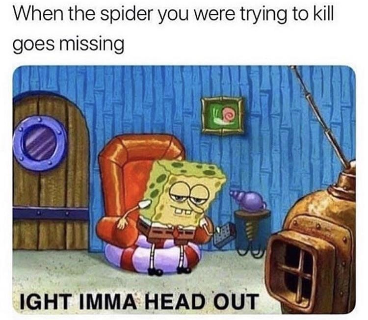 Spider is missing in the house? iight imma head out