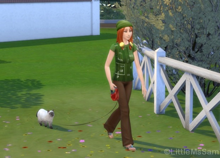 Walk Your Cat in Sims4
