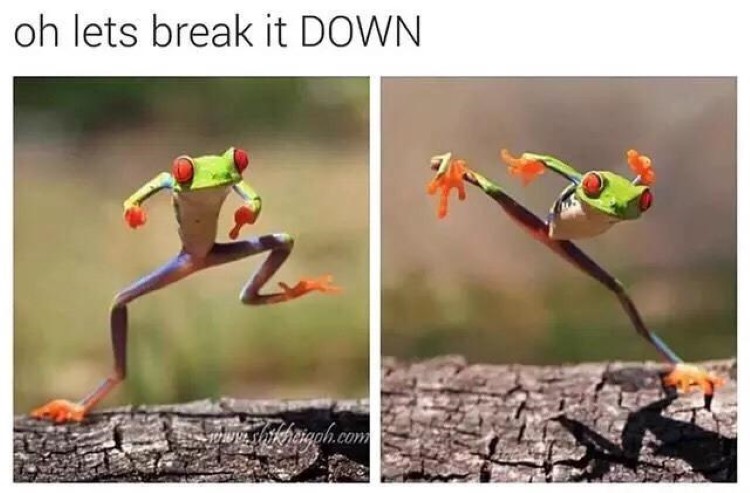 Oh lets break it down frog meme
