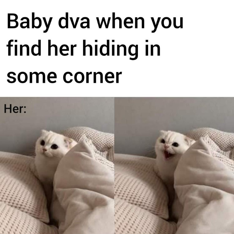 Baby hiding in the corner meme