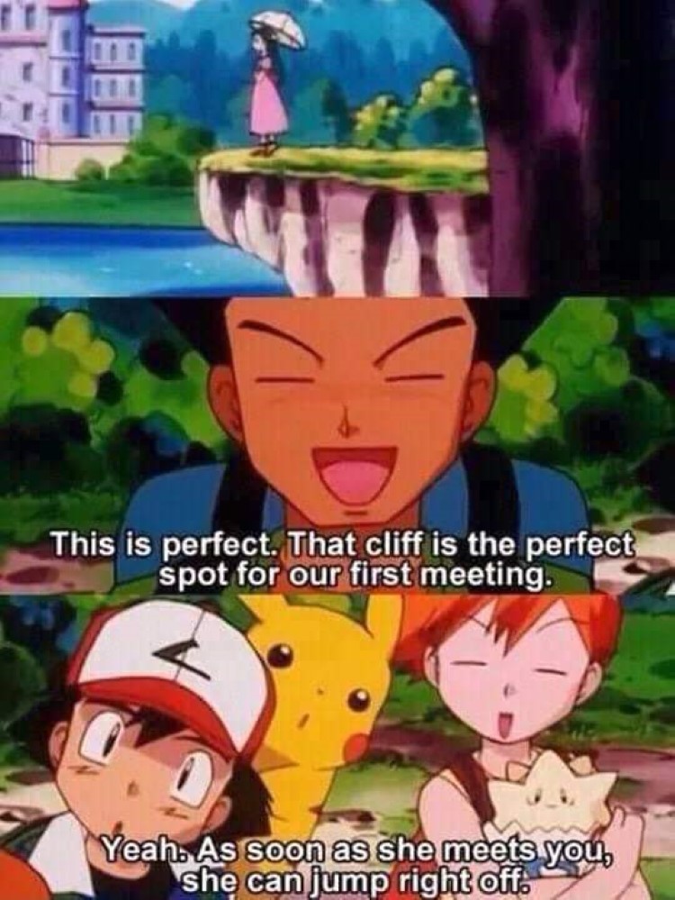 This is perfect for a cliff! Brock Pokemon meme