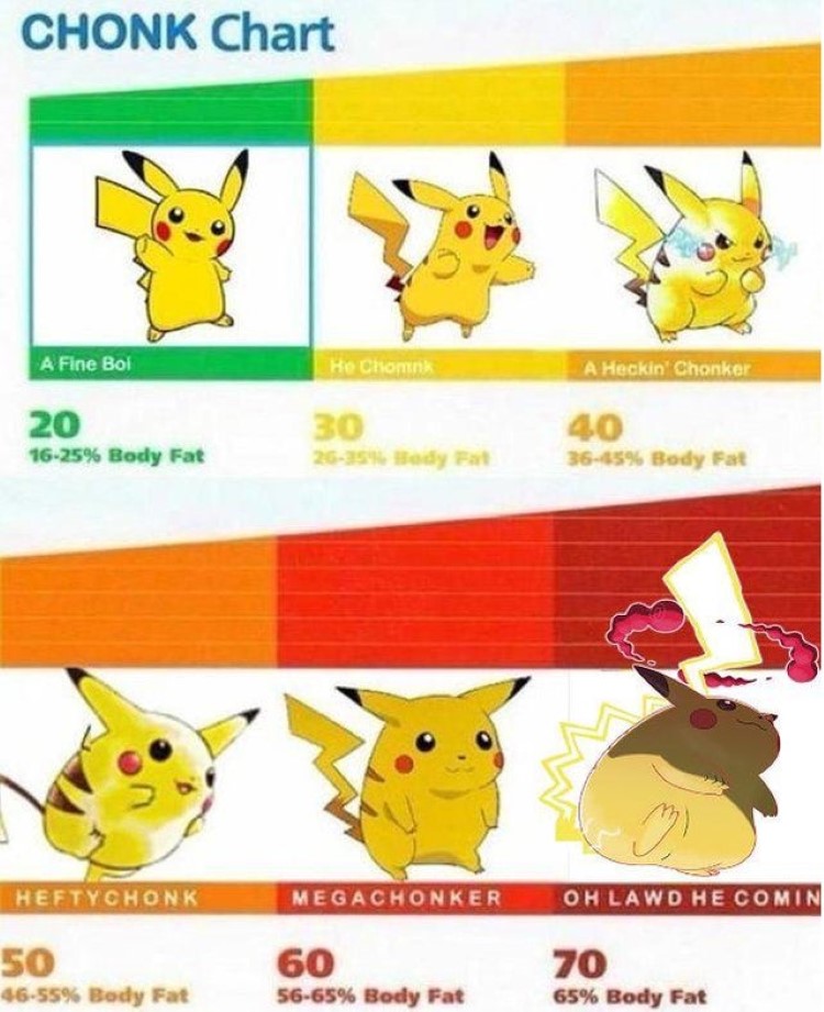 Chonk chart - Different Pikachu versions meme