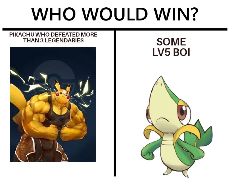 Who would win? Some level5 boi