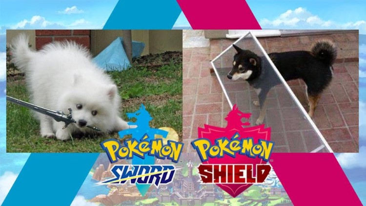 Pokemon Sword and Shield, real life dogs
