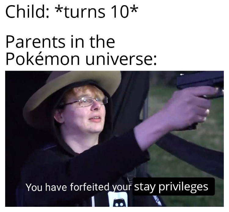 Parters in the Pokemon universe forgeit privileges