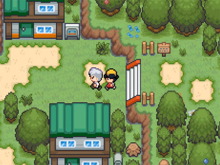 Pokémon Saffron Hack Screenshot