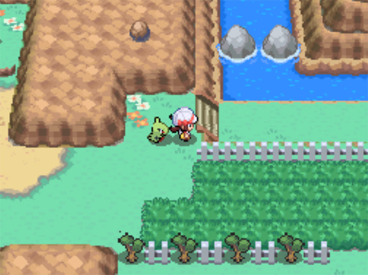 The surf-able river at the end of Route 9 / Pokemon HGSS