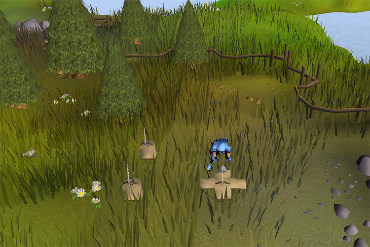 Catching chinchompas near the fence / Old School RuneScape