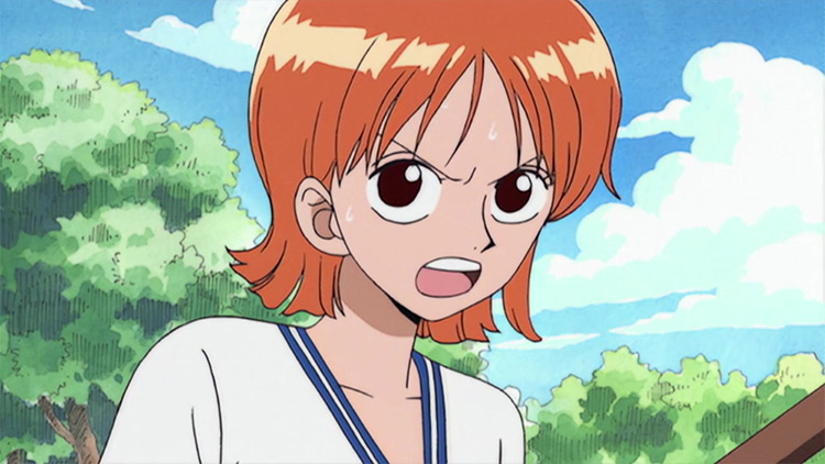 Nami from One Piece, Anime Screenshot