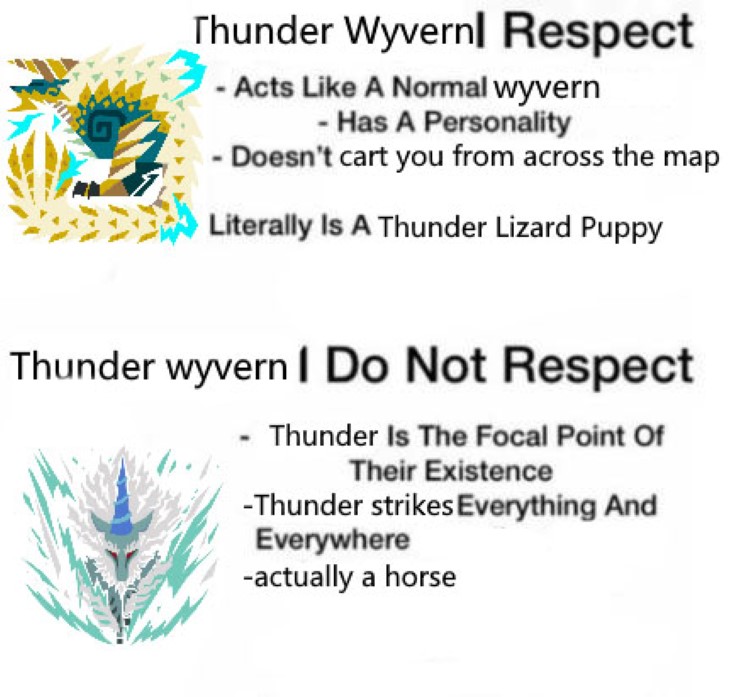 Thunder wyvern I do not respect meme