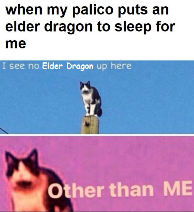 I see no elder dragon other than me