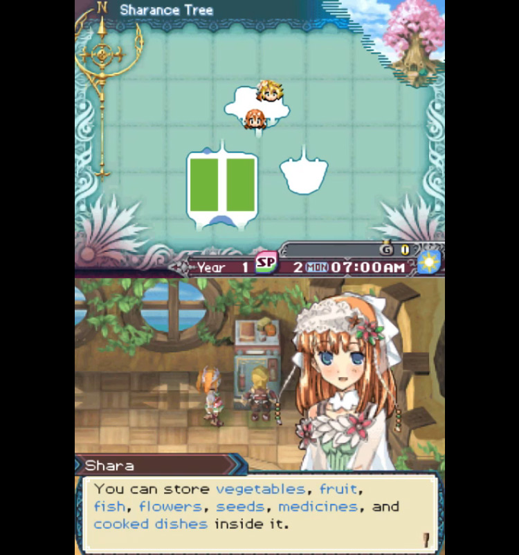Rune Factory 3 / NDS gameplay screenshot