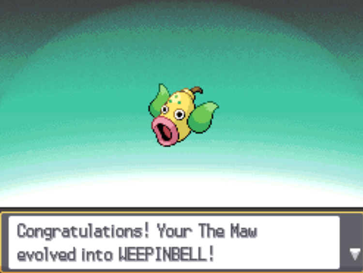 Bellsprout evolving into Weepinbell / Pokémon HGSS