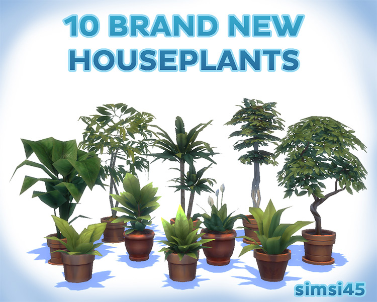 Brand New House Plants / Sims 4 CC