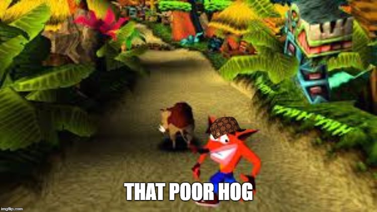 That poor hog douchebag Crash Bandicoot meme