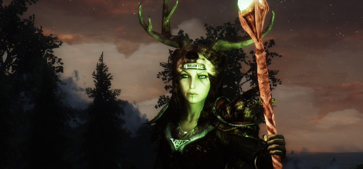 Skyrim druid female character in Skyrim