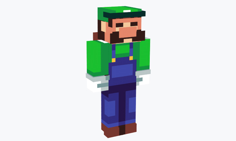 Old 8-bit Luigi / Minecraft Skin