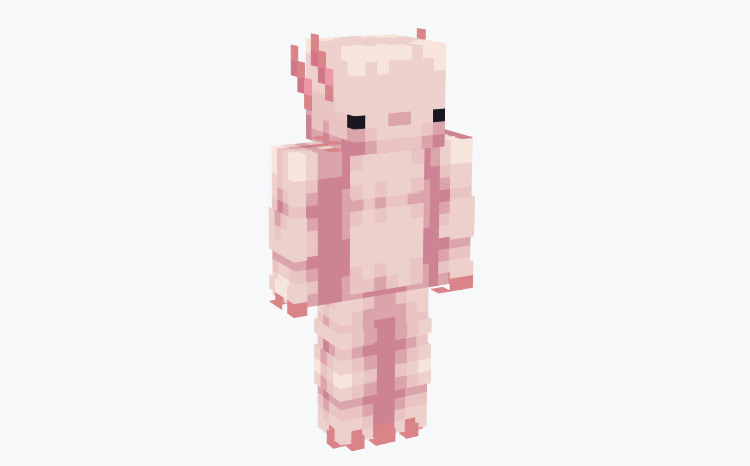 Full Axlolotl Character Design / Minecraft Skin