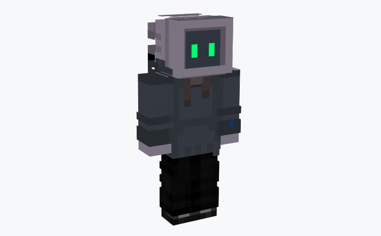 Computer Terminal Head Character / Minecraft Skin