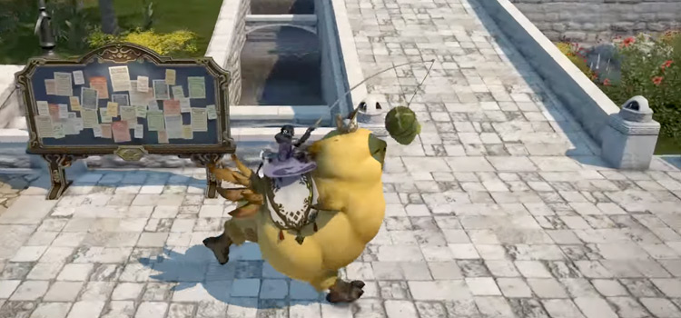 Rare Parade Chocobo in-game screenshot from FFXIV