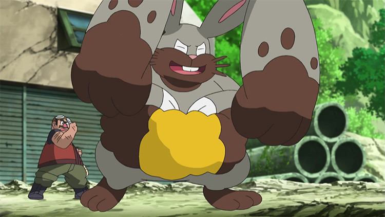 Diggersby Pokemon in the anime