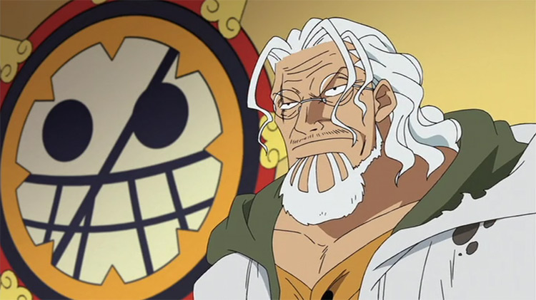 Silvers Rayleigh in One Piece anime