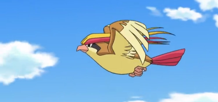Pidget flying in the anime
