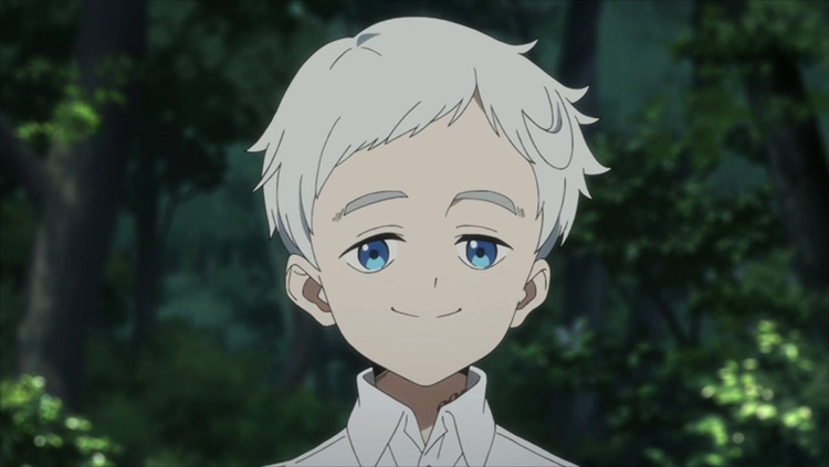 Norman from The Promised Neverland anime