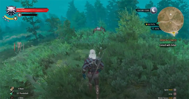 Reliever Decoction Witcher 3 Screenshot