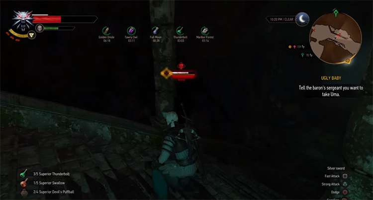 Ekhidna Decoction Witcher 3 Screenshot