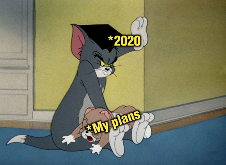 My plans Tom meme