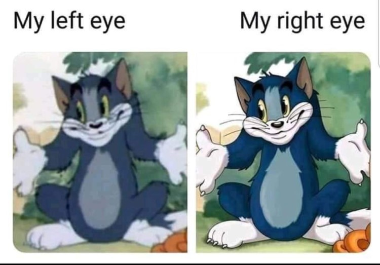 My left eye vs my right eye meme