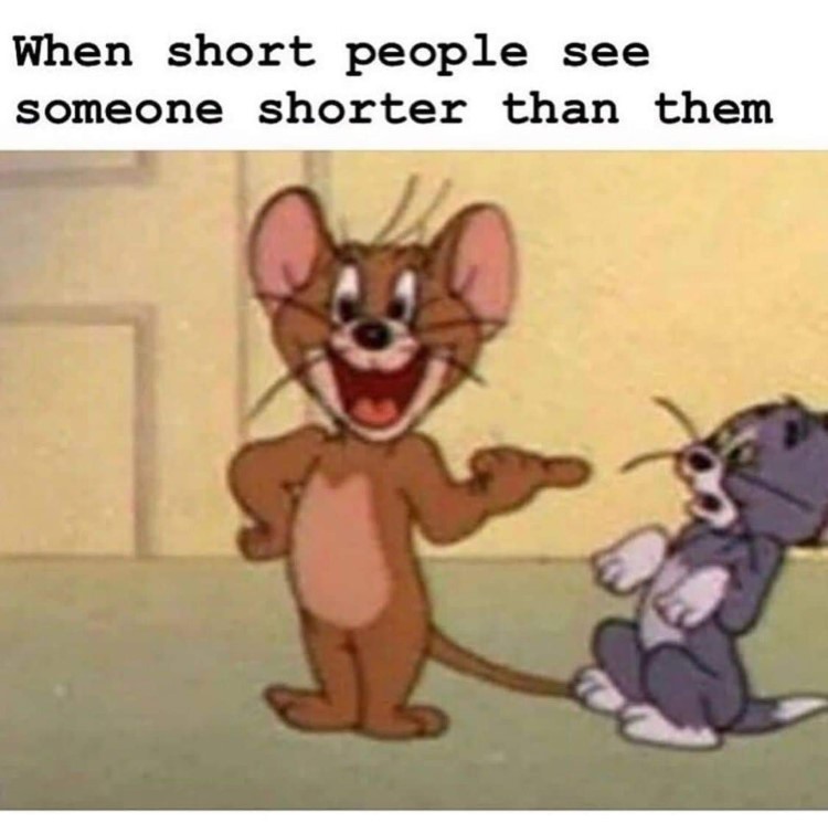 Tom and Jerry shorter meme